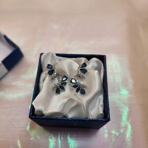 Blue and Silver Women's Earrings